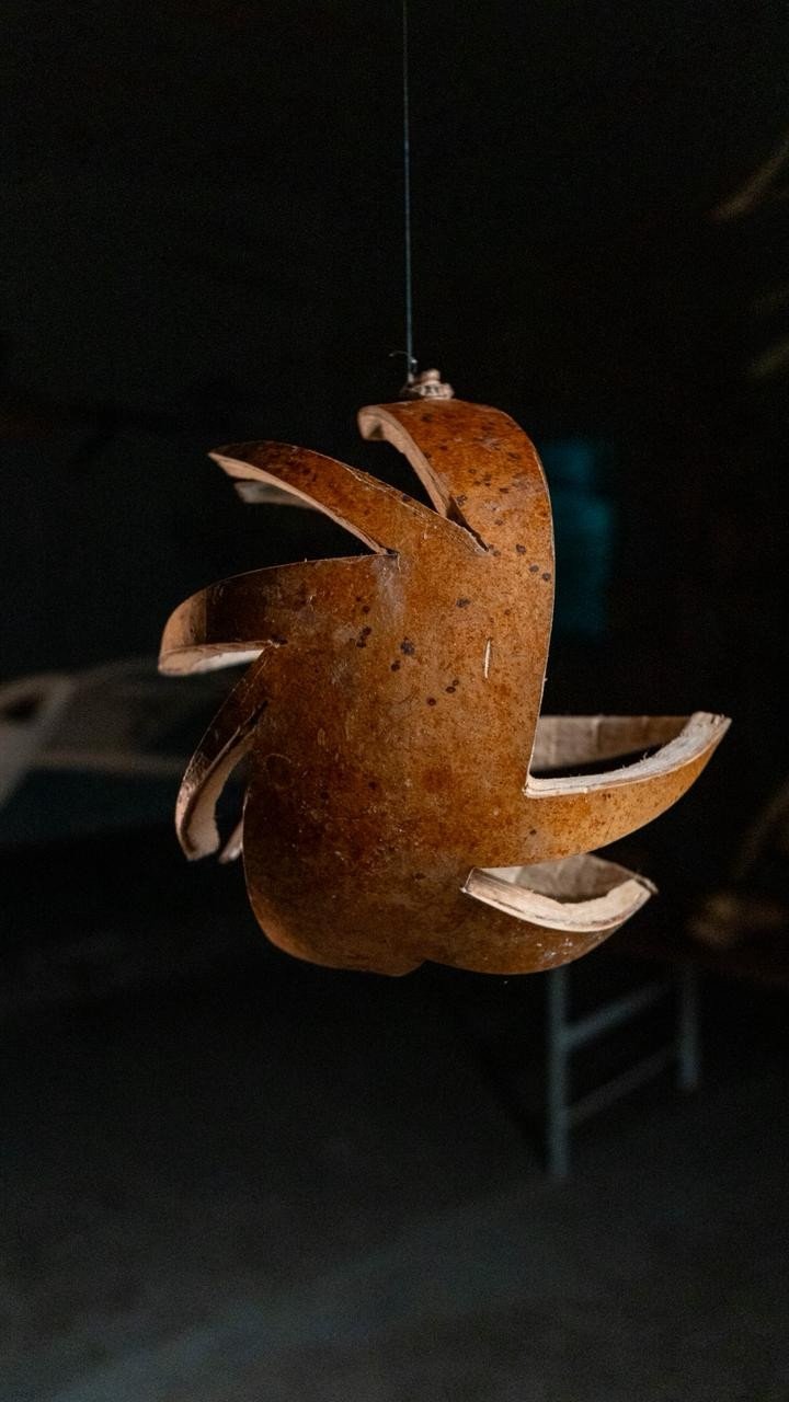 Extinção da arara azul